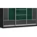 Шкаф-купе Колизей 2 Gray/Green